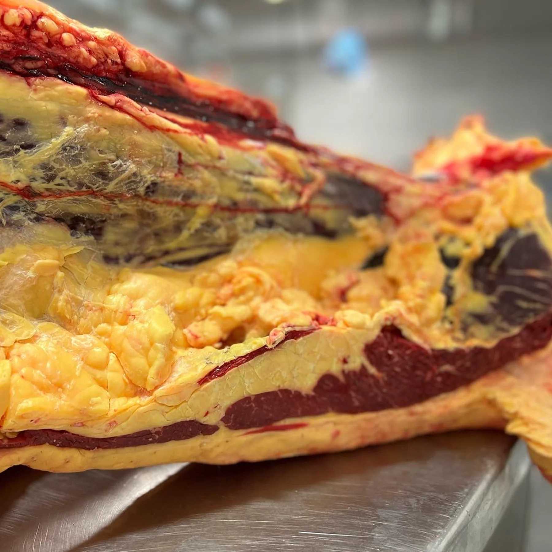 42-Day Dry-Aged Retired Dairy Cow - Pub Rump 1kg - Image 2